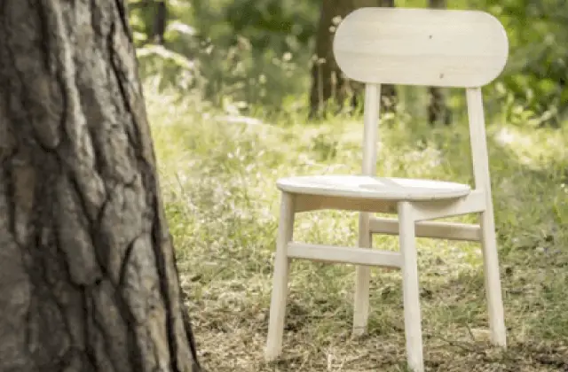 An elegant white wooden chair set outside and next to a mature tree