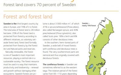 Swedish forestry (factsheet)