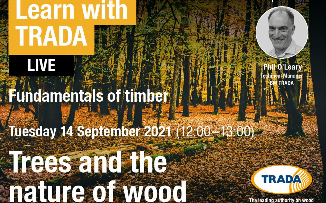 Fundamentals of timber trees and the nature of wood