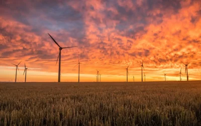 Swedish engineered wood technology in wind turbines